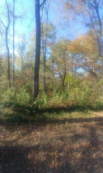 1st image of 0 Cypress Dr Lot 81