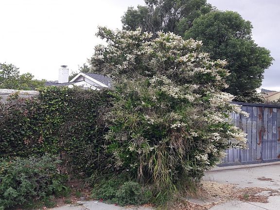 3rd image of 10425 Topanga Canyon Blvd