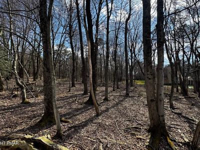 Stony Mountain Rd, Albrightsville, PA, 18210