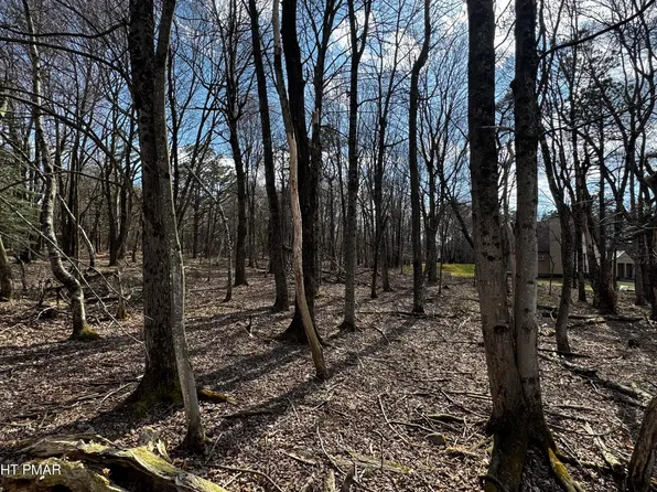 Stony Mountain Rd, Albrightsville, PA 18210