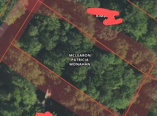 Danish Landing Rd, Grayling, MI 49738