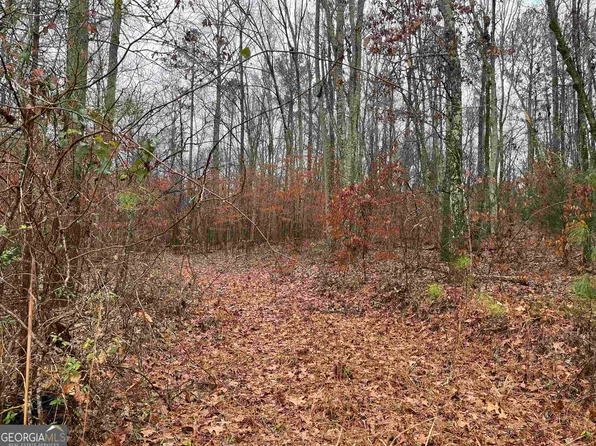 0 State Highway 16 E, Monticello, GA 31064