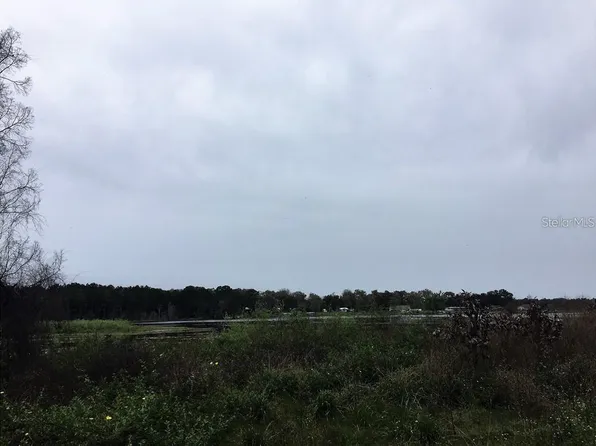 Cemetery Rd Lot 490, Seville, FL 32190