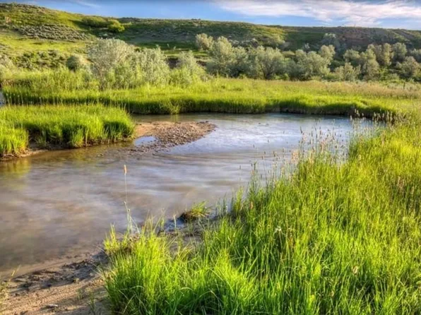 Tbd Road 19, Powell, WY 82435
