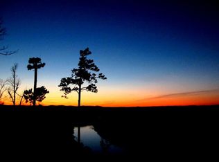 130 Eagle Ridge Dr, Mountain View, AR 72560