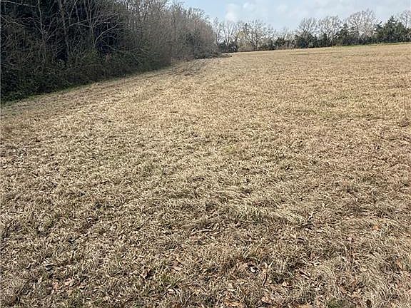 5th image of TRACT 1 H Hwy Lot 1187-3