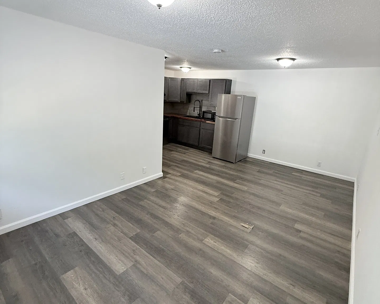 1 bed, 450 sqft, $895 — Photo 2