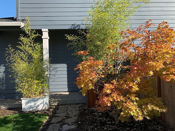 4th image of 3801 NE 61st St