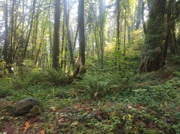 NW Mackay Ave, Portland, OR 97231