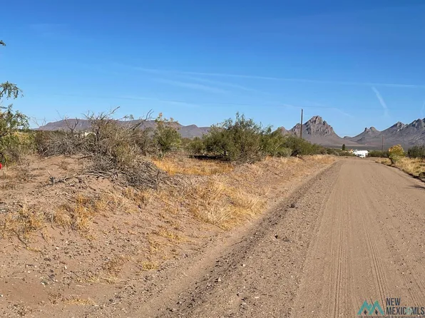 Unicorn Rd SW, Deming, NM 88030