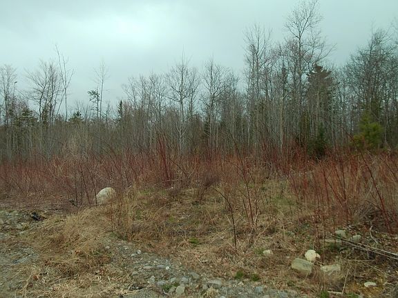 2nd image of 60 Clements Road