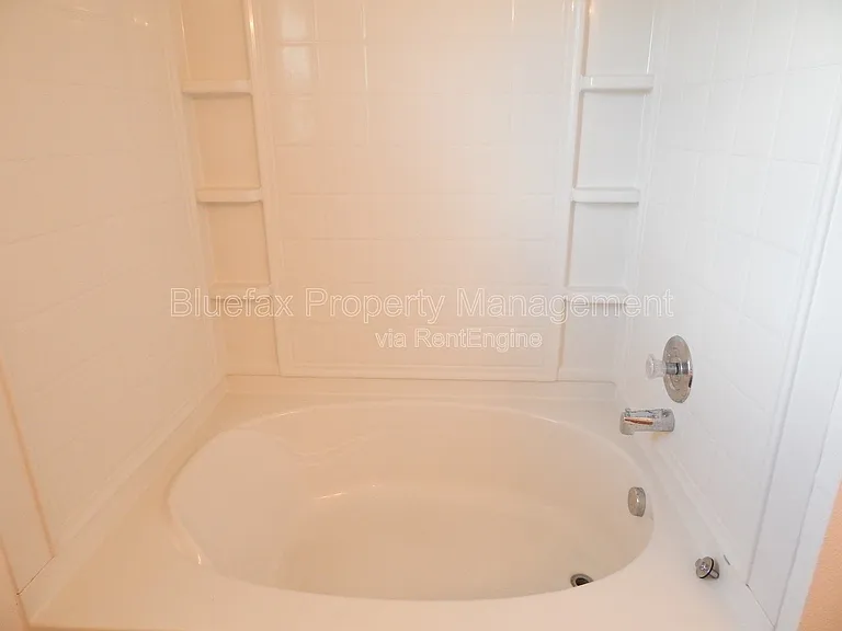 211 Quince Flower — Photo 15