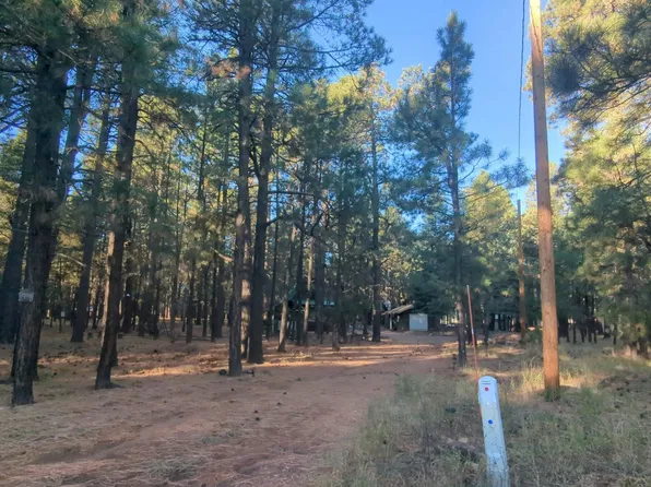 2368 Boss Ln, Forest Lakes, AZ 85931