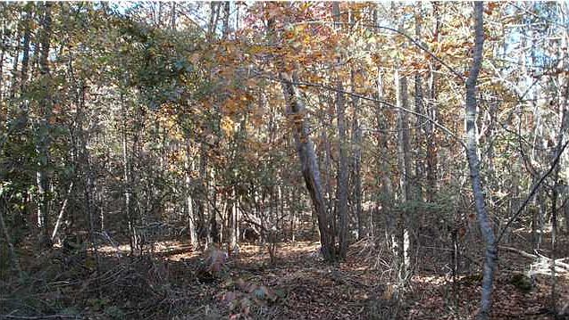 1st image of 0 Stokes Hill Ln