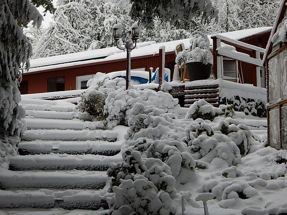 Cottage in winter