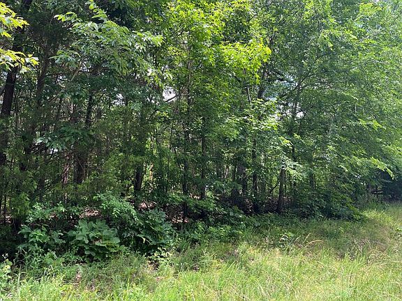2nd image of 0 Pea Ridge Rd