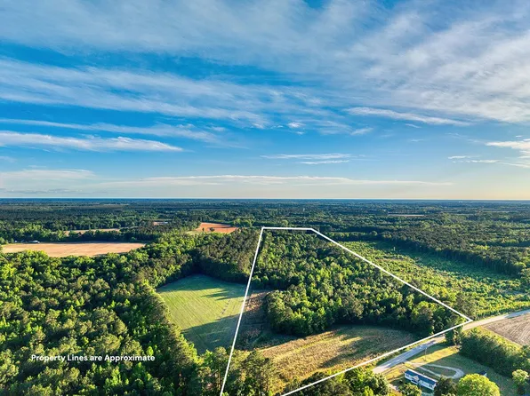 TBD Chair Rd. #30.20 Acres, Hemingway, SC 29554