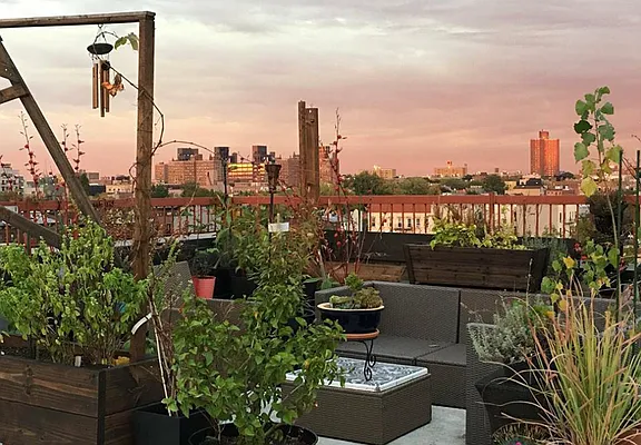 Rented by Manhattan Management LLC | media 75