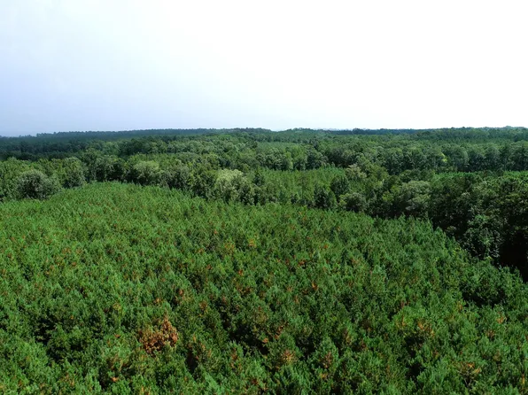 0 Old Edgefield Rd, Ninety Six, SC 29666