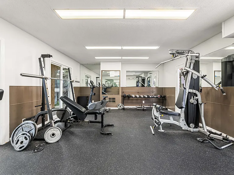 Gym with free weights and nearly new machines