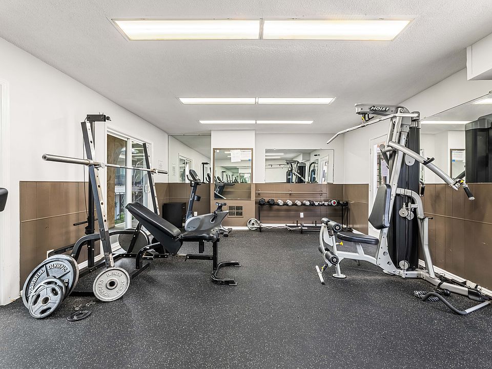 Gym with free weights and nearly new machines