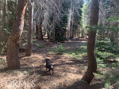 4142 Redtop Rd Lot 41, Bass Lake, CA, 93604