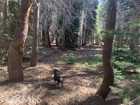 4142 Redtop Rd Lot 41, Bass Lake, CA 93604