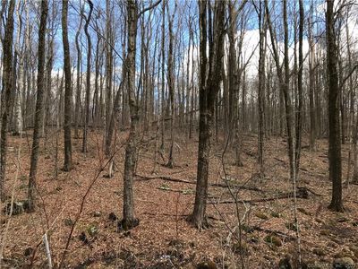 Lot 12 Weed Road, Torrington, CT, 06790