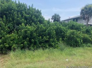 Turtlemound Rd, New Smyrna Beach, FL 32169