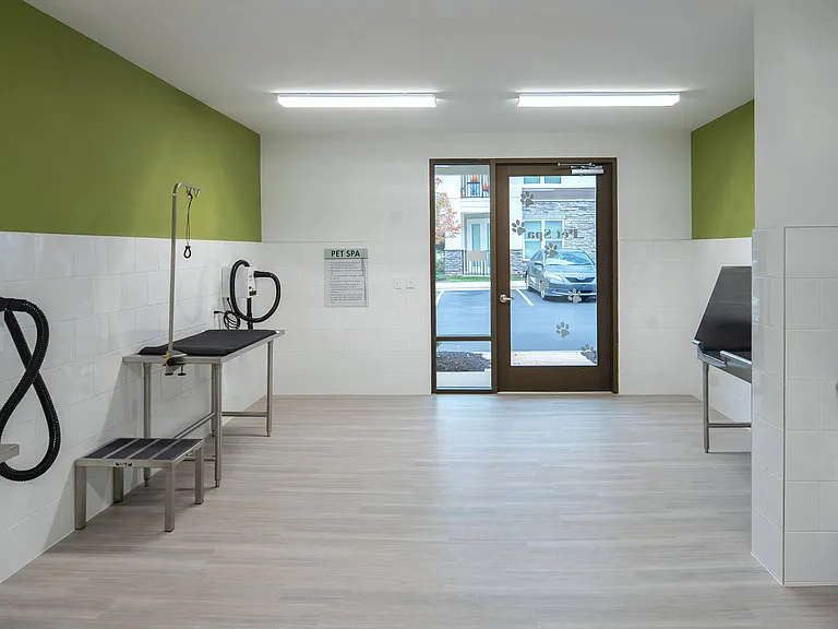 On-Site Pet Spa with Grooming Stations and Wash Tubs
