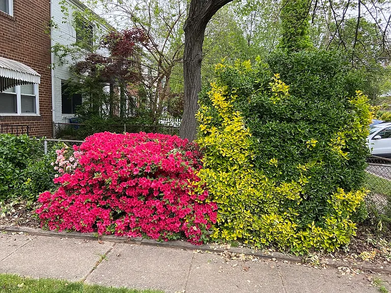 120 E Rosemont Ave — Photo 29