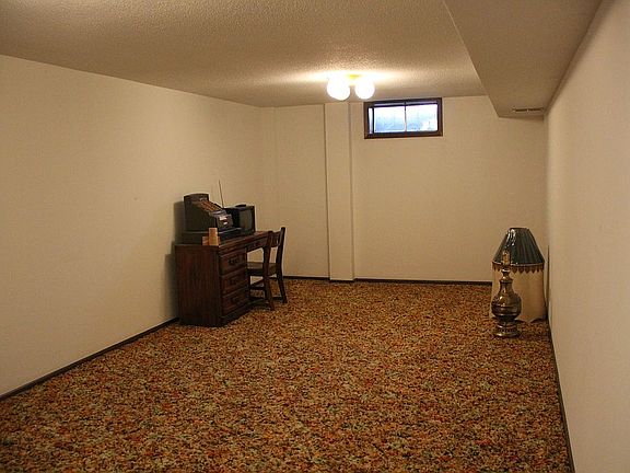 Basement family room