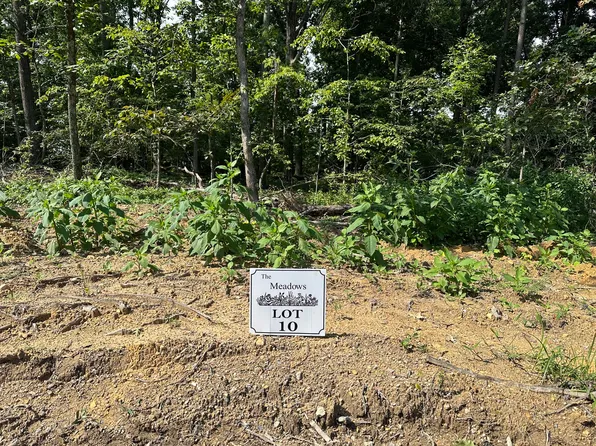 LOT 10 The Mdws, Riceville, TN 37370