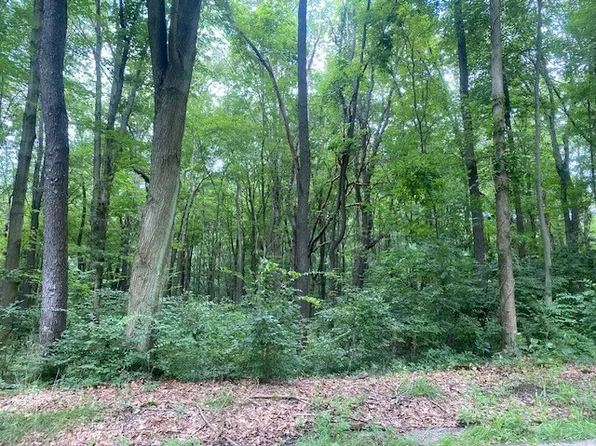 0 Prospect Woodlands Rd, Evans City, PA 16033