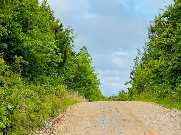 413 County Road 455 #1 & 2, Clanton, AL 35046