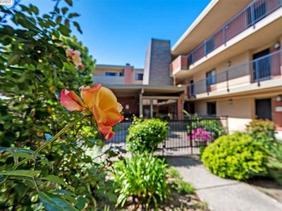 15335 Washington Ave APT 210, San Leandro, CA, 94579