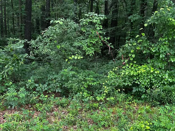 0 Ayers Rd, Bowdon, GA 30108