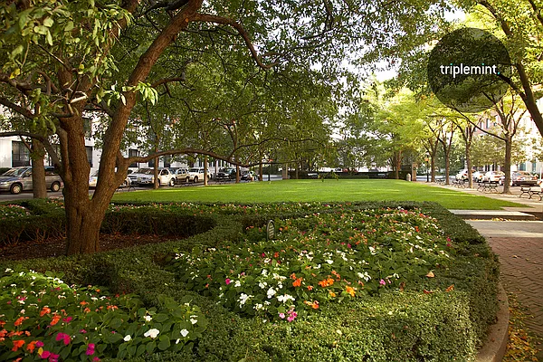 Rented by Triplemint | media 16