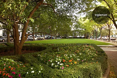 Rented by Triplemint