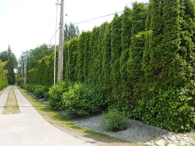 1280 Gulf View Cres, Point Roberts, WA, 98281