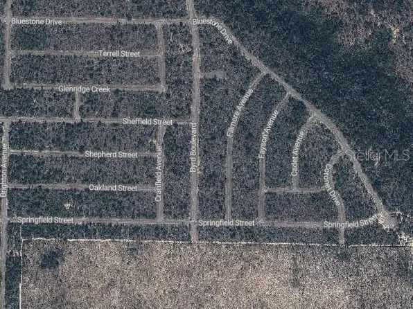 Byrd Boulevard Chipley Lot 11, Chipley, FL 32428