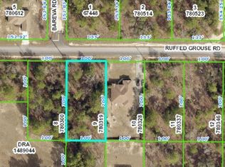 13364 Ruffed Grouse Rd, Weeki Wachee, FL 34614