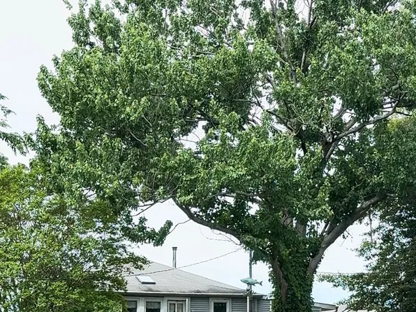 2150 1/2 Lake Dr, Pasadena, MD 21122