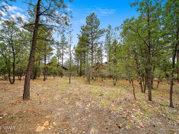 3331 W Tobasa Ln, Show Low, AZ 85901