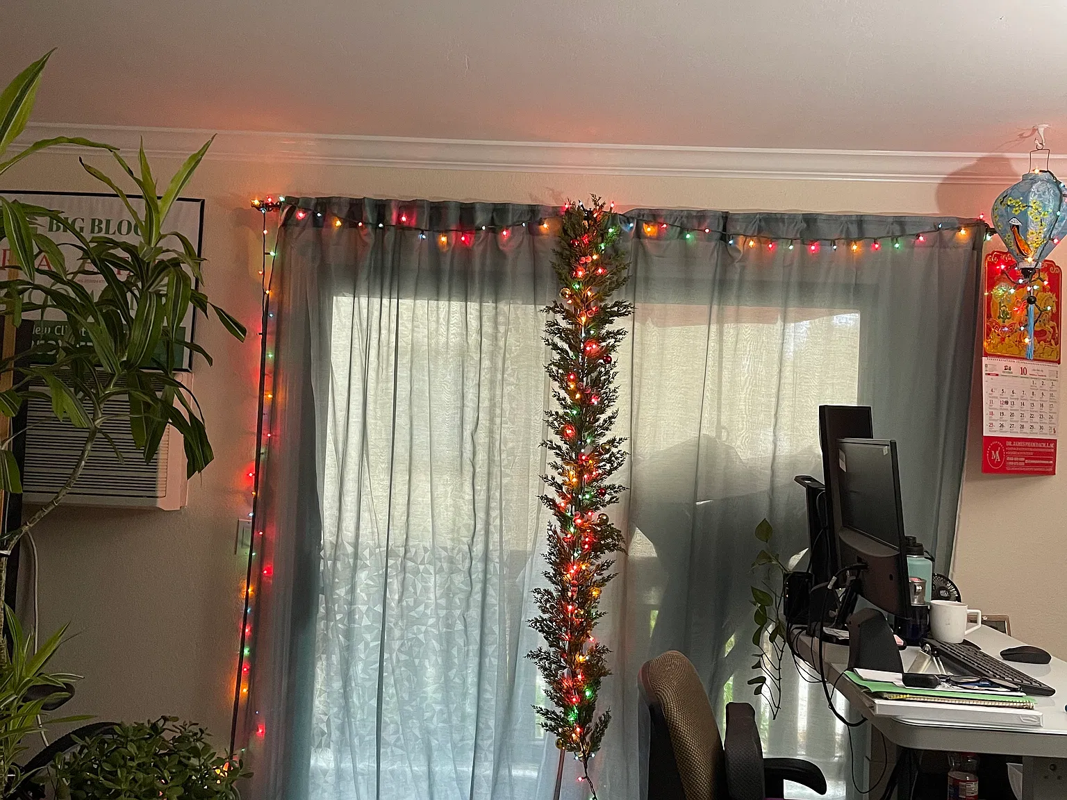 1 bed, 686 sqft, $1,600 — Photo 4