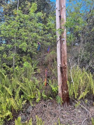 Catamaran Ln, Ocean View, HI 96737