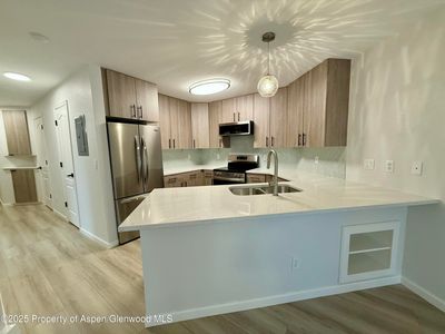 3102 Elk Ln, Basalt, CO, 81621
