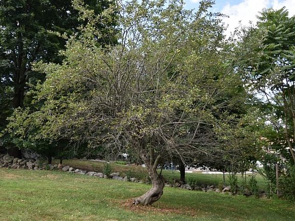 5th image of 23 Roman Acres Dr