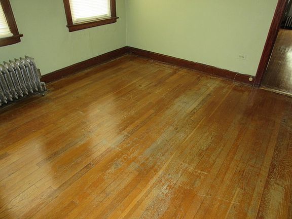 4th image of 5517 W Race Ave