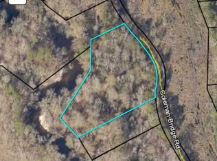 0 Coleman Bridge Spur, Cobbtown, GA 30420